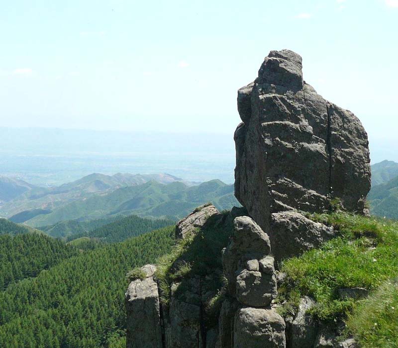 如果你准备去越南旅游(我想去越南旅游)